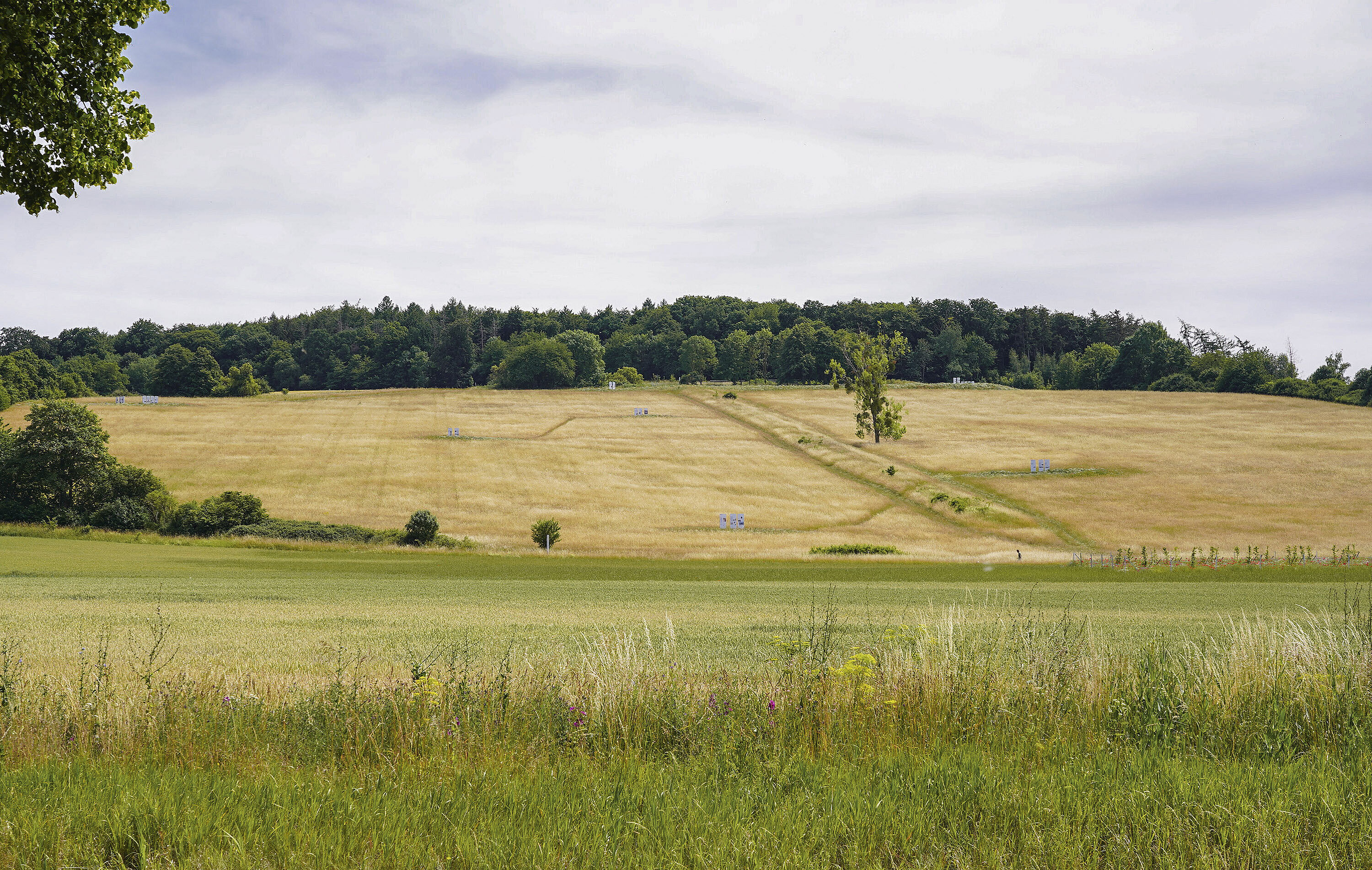 Dokumentations- und Lernort Bückberg, Landschaftsarchitektur, landscape architecture