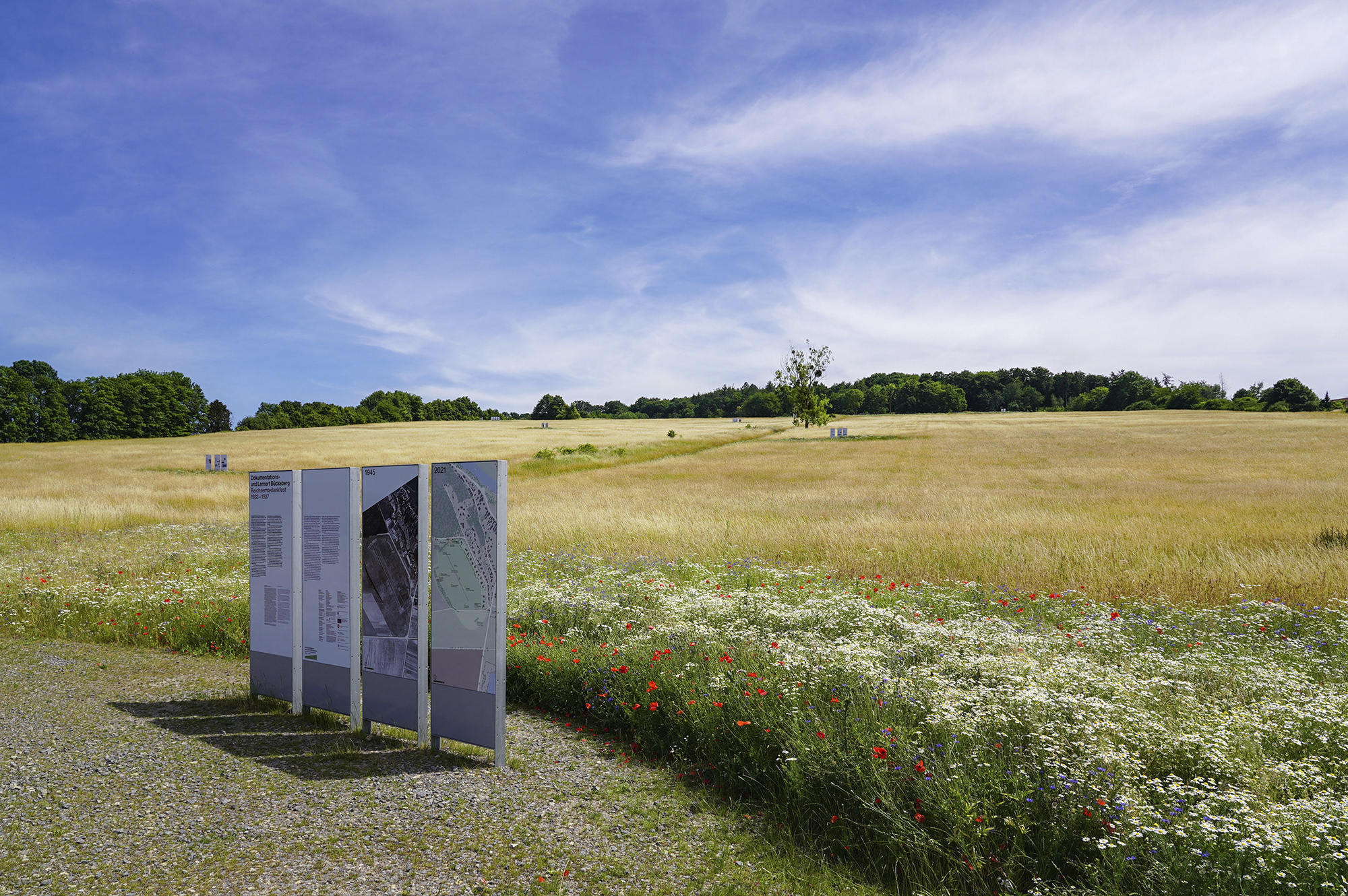 Dokumentations- und Lernort Bückberg, Landschaftsarchitektur, landscape architecture